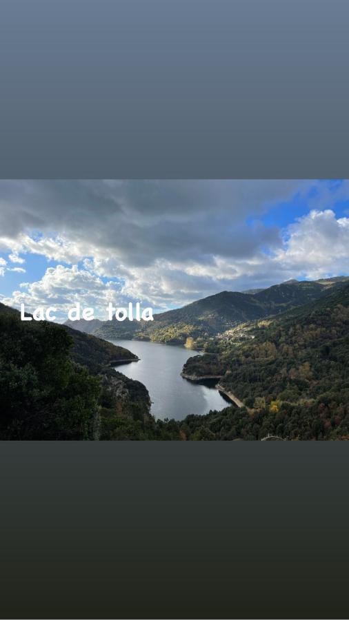 Cauro Magnifique Villa Recente Entre Mer Et Montagne Situee Entre Ajaccio Et Porticcio מראה חיצוני תמונה